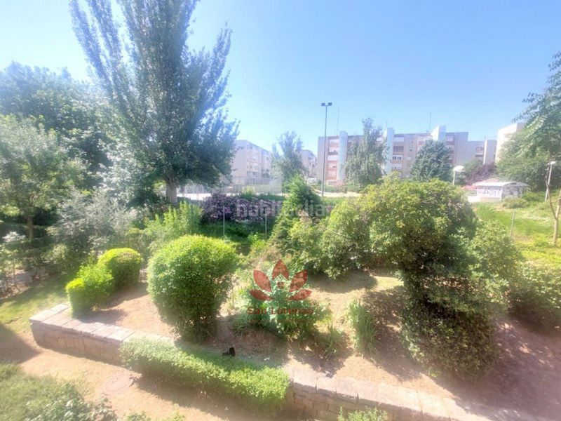 Foto 97067486-733b-44a9-be38-c790c732d209. Pis a Pinar del Rey Madrid
