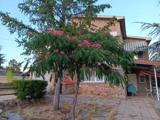 Xalet en Calle cerrillo 3. Vive en santa maria de la alameda estacin