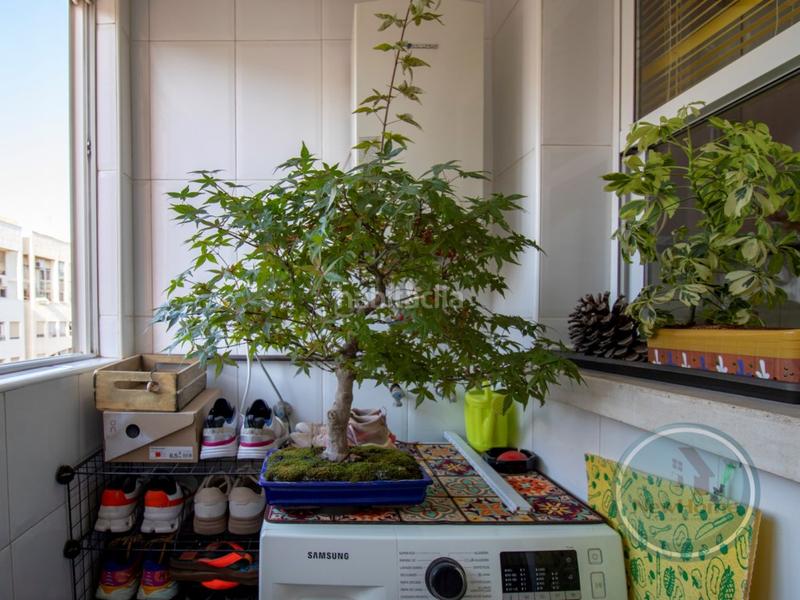 Foto a7c5c22b-7351-42a1-8083-129c8e66ad49. Appartamento con parcheggio in Ciutat Jardí - Torreta Verdí Elche / Elx