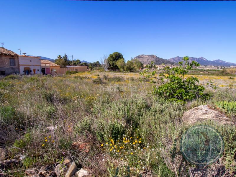 Foto b1265b04-17a3-451d-82d2-198d7ece3b47. Casa in Romana (la)