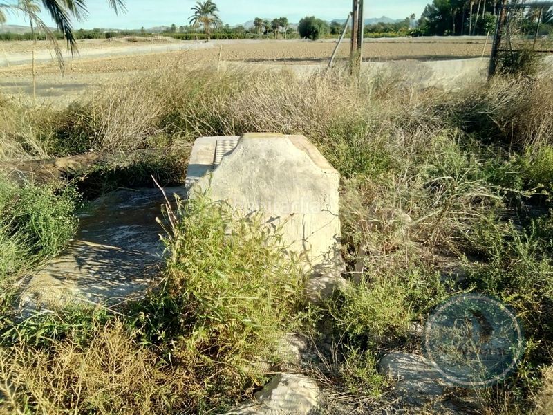 Foto 7d61ed0c-1a02-4e35-9ba6-ee0dae47050c. Finca rústica a Algorós - El Derramador Elche / Elx