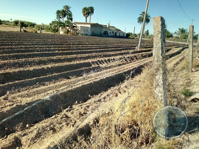 Foto d0f2332f-0620-45c3-8760-0b7d273e0731. Finca rústica a Algorós - El Derramador Elche / Elx
