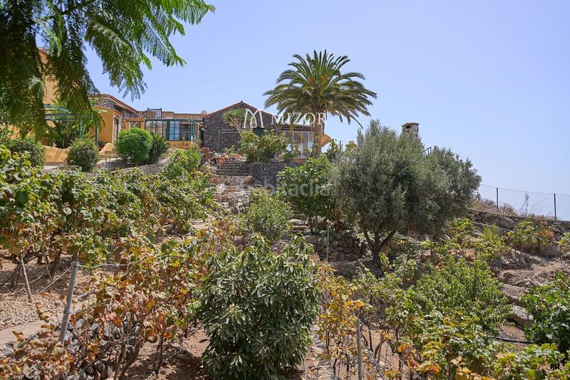 Foto bd6f756a-eb1d-4d17-8c8c-8c6da3c3518a. Casa amb aparcament a Guía de Isora interior Guía de Isora