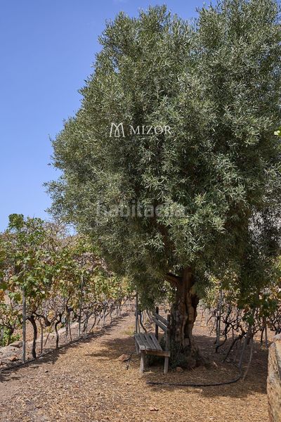 Foto f4189905-2980-43d3-9640-806220c694a7. Casa amb aparcament a Guía de Isora interior Guía de Isora