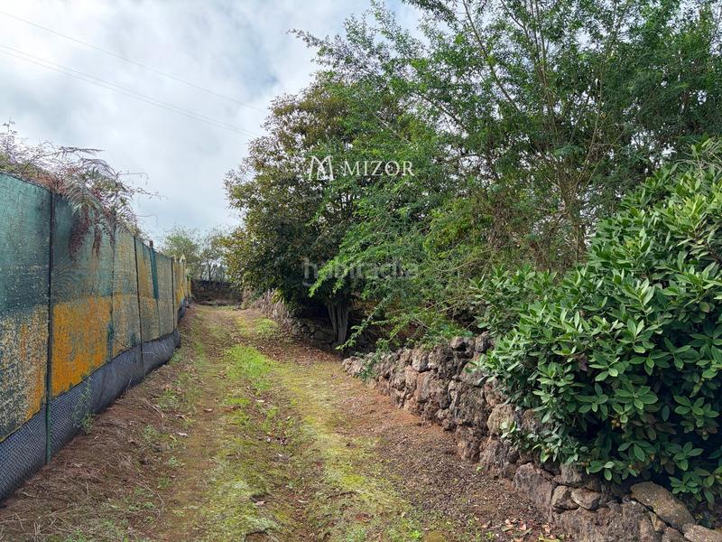 Foto 02b81ed5-54e2-411c-b565-a90db04b7989. Finca rústica a Icod de los Vinos pueblo Icod de los Vinos