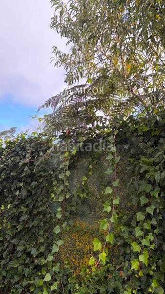 Foto 10c9fa42-1b76-40da-b3b6-8cee7d4dc151. Finca rústica a Icod de los Vinos pueblo Icod de los Vinos
