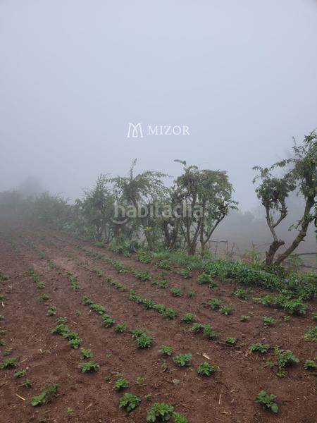 Foto 140f4695-2723-4b38-bf98-72c864f260a8. Finca rústica a Icod de los Vinos pueblo Icod de los Vinos