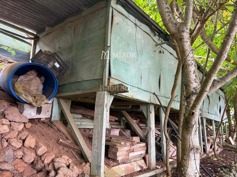 Foto 24ce77de-b99f-4af5-bb72-f5a9d709033c. Finca rústica a Icod de los Vinos pueblo Icod de los Vinos