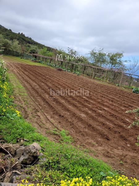Foto 32d3d8da-8522-4fe2-a5ff-41982ad14d6c. Finca rústica a Icod de los Vinos pueblo Icod de los Vinos