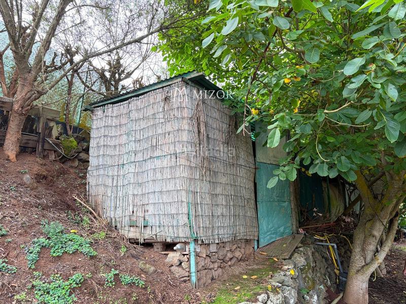 Foto 427ccec6-f64d-4d6a-b87d-7797d22c9baf. Finca rústica a Icod de los Vinos pueblo Icod de los Vinos