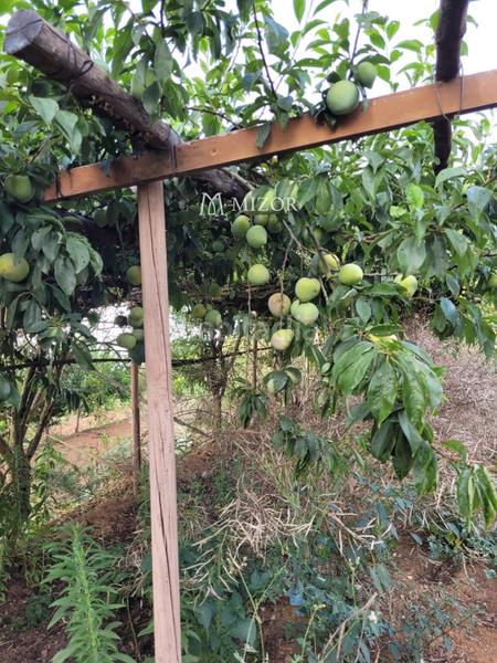 Foto 71236168-4a18-4b58-927e-031358cb1122. Finca rústica a Icod de los Vinos pueblo Icod de los Vinos