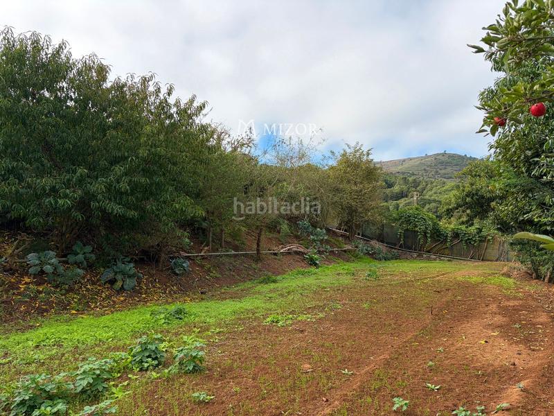 Foto 7c2f6c49-8c1f-4f09-b8e1-f8ba1162fac3. Finca rústica a Icod de los Vinos pueblo Icod de los Vinos