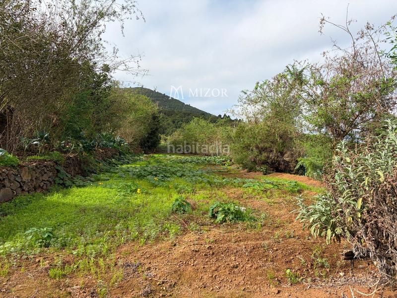 Foto b1255d05-d605-455c-9296-0a6b2af73726. Finca rústica a Icod de los Vinos pueblo Icod de los Vinos