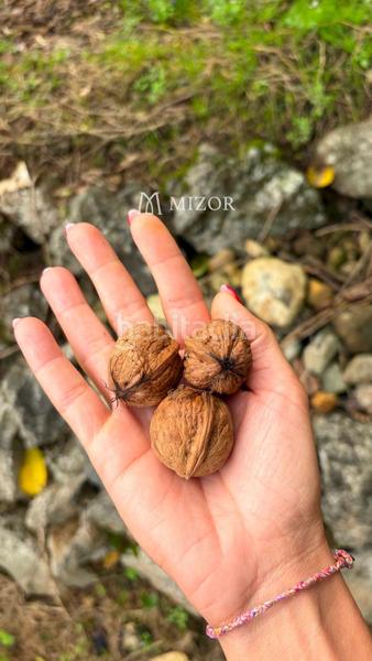 Foto c8fa804c-5d72-438c-977e-3b2fb04e5cba. Finca rústica a Icod de los Vinos pueblo Icod de los Vinos