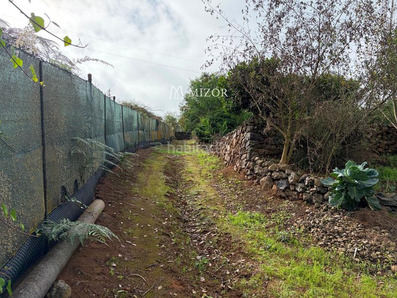 Foto d2365b47-edd5-4820-b9bf-1836544024cd. Finca rústica a Icod de los Vinos pueblo Icod de los Vinos