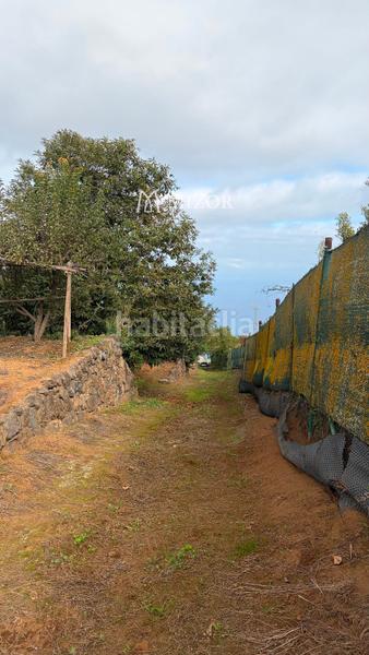 Foto f12829cf-828e-4d68-b0b4-a4bdb9b47a74. Finca rústica a Icod de los Vinos pueblo Icod de los Vinos