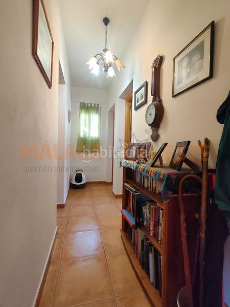Foto d2b92724-14b8-4f0f-9de1-23b0e8e8f7f4. Fondo rustico in Viñuela