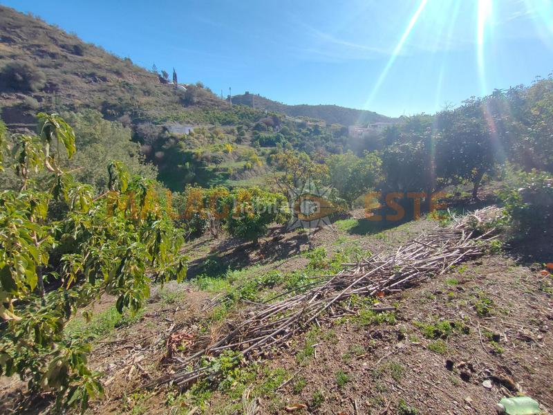 Foto e36fe0f9-7097-4256-8c99-2b0565f620c6. Fondo rustico in Viñuela