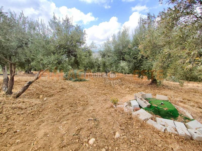 Foto 1e16ebe4-b963-4eea-946a-25aa8337cae8. Masía en Periana