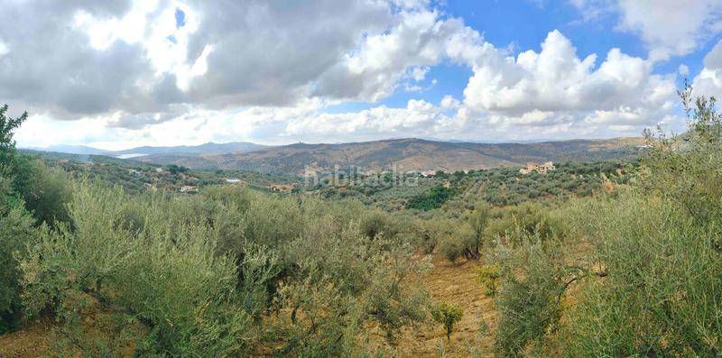 Foto 269f7a43-895b-4297-9400-449b67cea4d6. Masía en Periana