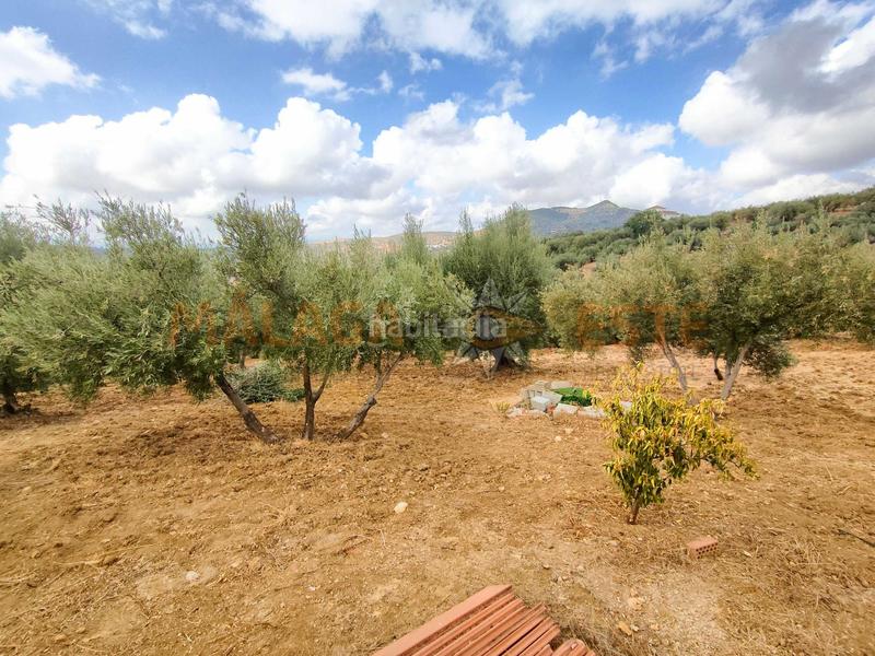 Foto 8f4db6fc-b7e7-40b2-b8cd-4e57fa980fc2. Masía en Periana