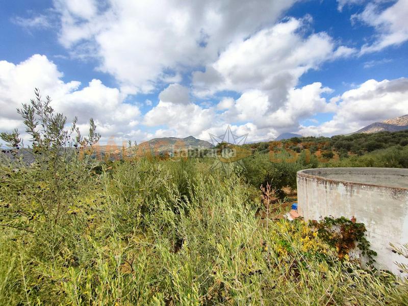 Foto c0401965-eba8-4a68-a99d-307c971e9469. Masía en Periana