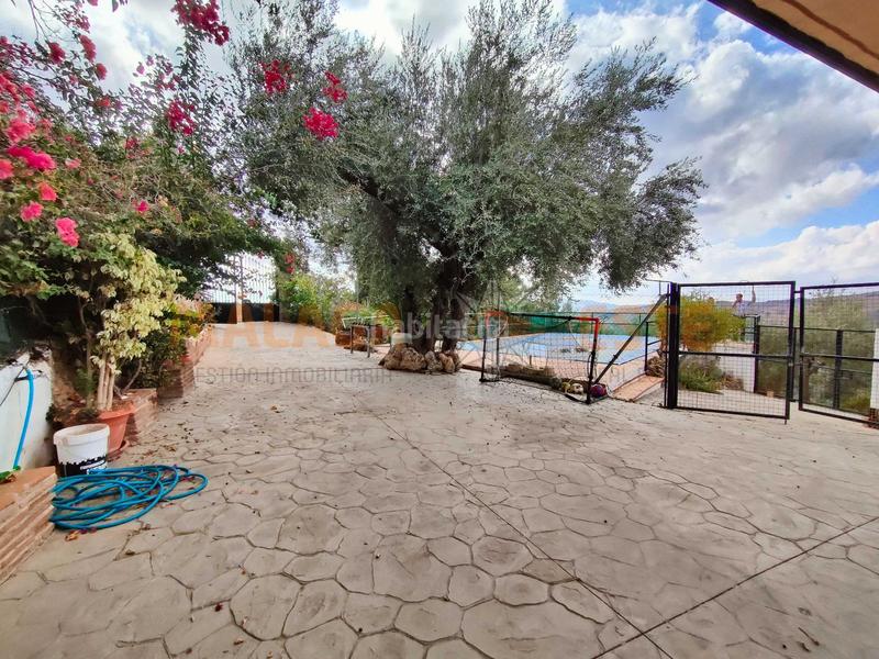 Foto d15bb313-850a-4a4f-9174-f972d76de213. Masía en Periana