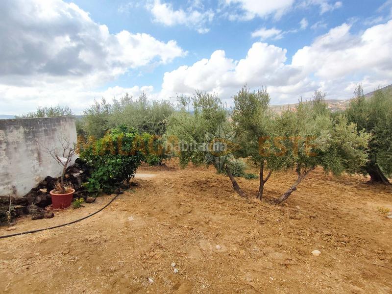 Foto f5c85f2a-c5c1-4ba4-be89-e7b33beae201. Masía en Periana