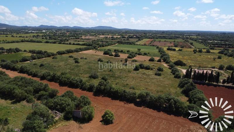 Foto 1f5132a8-7bf0-471a-a4ad-8e84e3d73f04. Fondo rustico in pologino 3 parcela 107 in Felanitx poble Felanitx