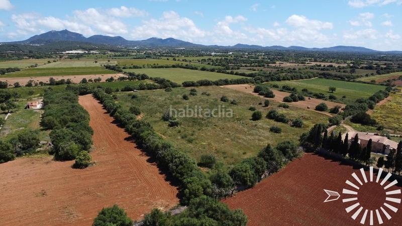 Foto 504eb083-7c88-4163-b452-9cba2f282c12. Fondo rustico in pologino 3 parcela 107 in Felanitx poble Felanitx