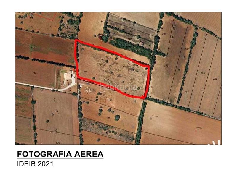 Foto 5c6afddf-1503-4571-abf0-ecc6ec202beb. Fondo rustico in pologino 3 parcela 107 in Felanitx poble Felanitx