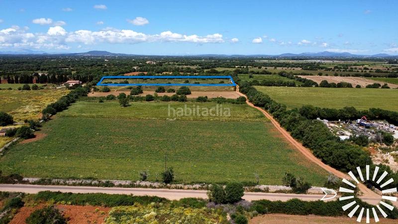Foto cb0e6b44-f69c-49ee-b5a0-e31da03a6c61. Fondo rustico in pologino 3 parcela 107 in Felanitx poble Felanitx