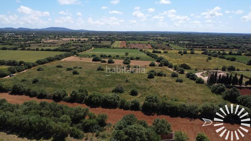Foto dcc4a4b0-e5bb-47c2-8ebf-b16b51a024f4. Fondo rustico in pologino 3 parcela 107 in Felanitx poble Felanitx