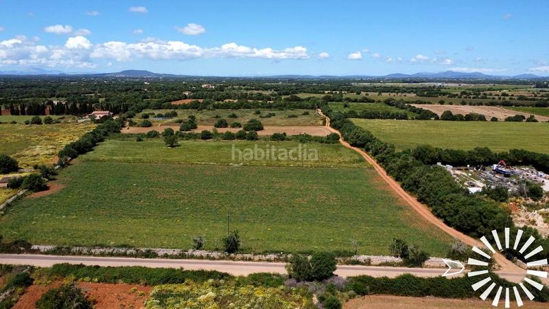 Foto f95f9f57-a755-4961-ade3-250ae7914f88. Fondo rustico in pologino 3 parcela 107 in Felanitx poble Felanitx