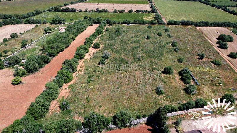 Foto 8d84442b-8c91-4831-9218-27635dca8a27. Landgut in pologino 3 parcela 107 in Felanitx poble Felanitx