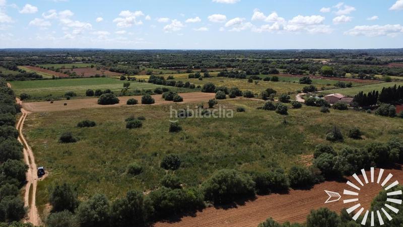 Foto 95653d3f-1d50-4461-9b4d-7e8de53afed4. Landgut in pologino 3 parcela 107 in Felanitx poble Felanitx