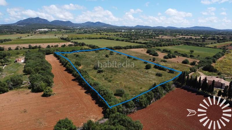 Foto 7dc56429-101c-4af0-a7f6-2c61eaa8a654. Finca rústica a pologino 3 parcela 107 a Felanitx poble Felanitx