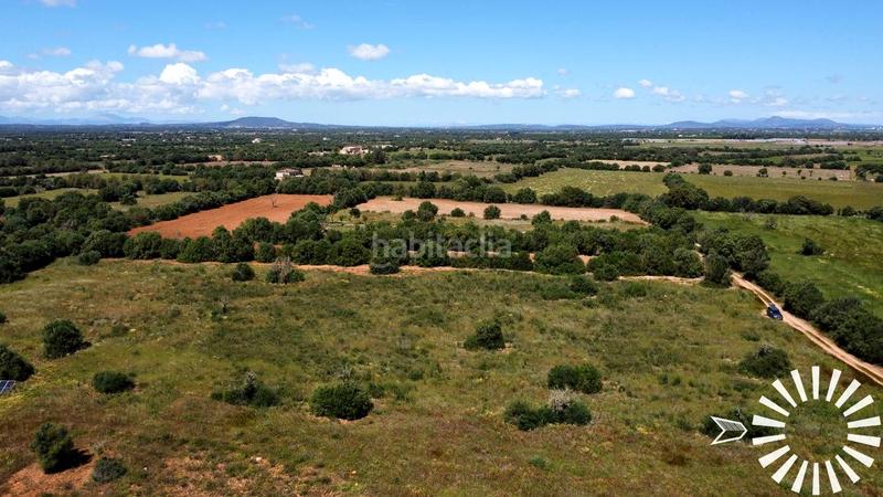Foto 639133f9-cef5-40e5-a395-0f0fd4ac32b0. Finca rústica en pologino 3 parcela 107 en Felanitx poble Felanitx