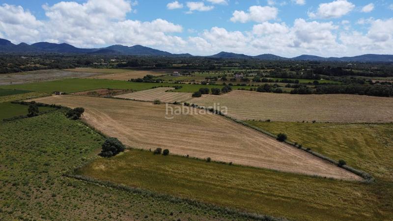 Foto 06f5fafd-7b6e-43f7-8d4c-c1845cd66c9f. Propriété dans poligono 45 parcela 26 dans Felanitx poble Felanitx