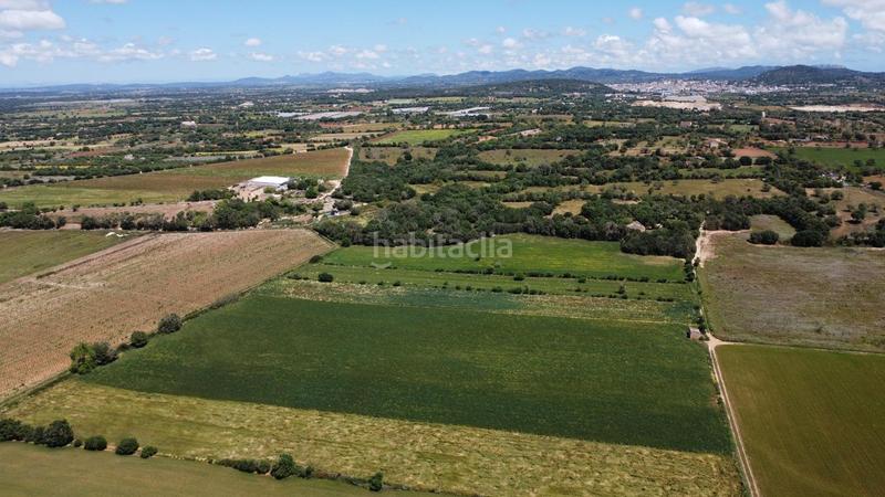 Foto 286ce023-8697-474c-b9cc-d0458a9e7f36. Propriété dans poligono 45 parcela 26 dans Felanitx poble Felanitx