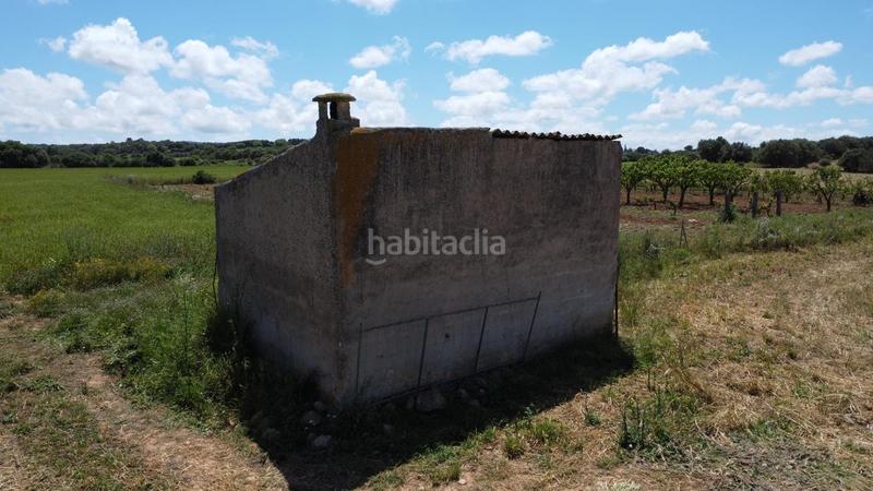 Foto 45ffb679-9ca8-490e-a709-a595e8372d8a. Propriété dans poligono 45 parcela 26 dans Felanitx poble Felanitx