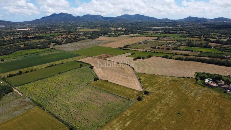 Foto 4ab24c81-3184-408b-9a44-7791230c02e9. Propriété dans poligono 45 parcela 26 dans Felanitx poble Felanitx