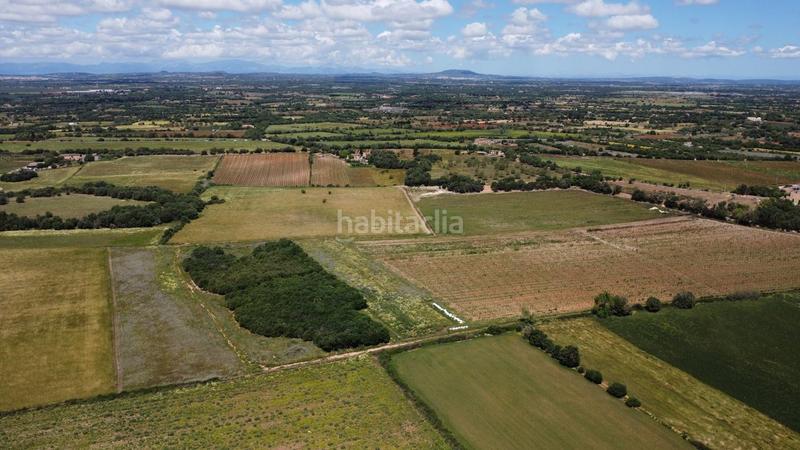 Foto b057acbf-b8dc-4d67-b482-a462aed608d2. Propriété dans poligono 45 parcela 26 dans Felanitx poble Felanitx