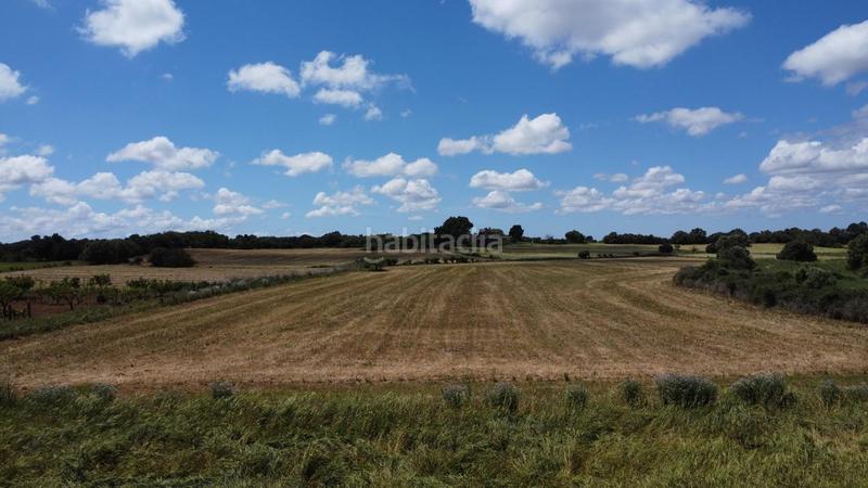 Foto c0351498-e920-42ee-a827-0e0d2e6c9045. Propriété dans poligono 45 parcela 26 dans Felanitx poble Felanitx