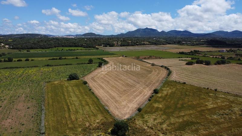 Foto d1887bb1-73f3-4625-92ba-d0fe0f524e05. Propriété dans poligono 45 parcela 26 dans Felanitx poble Felanitx