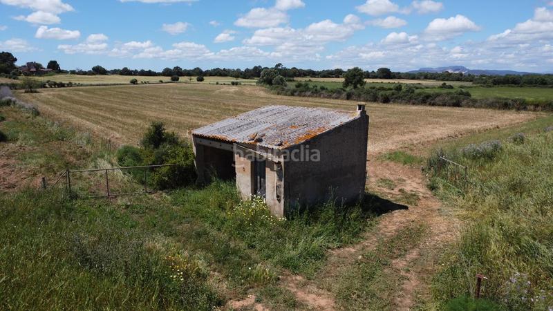 Foto d7032302-4d1d-4dbf-a8c5-046726e2b8e2. Propriété dans poligono 45 parcela 26 dans Felanitx poble Felanitx