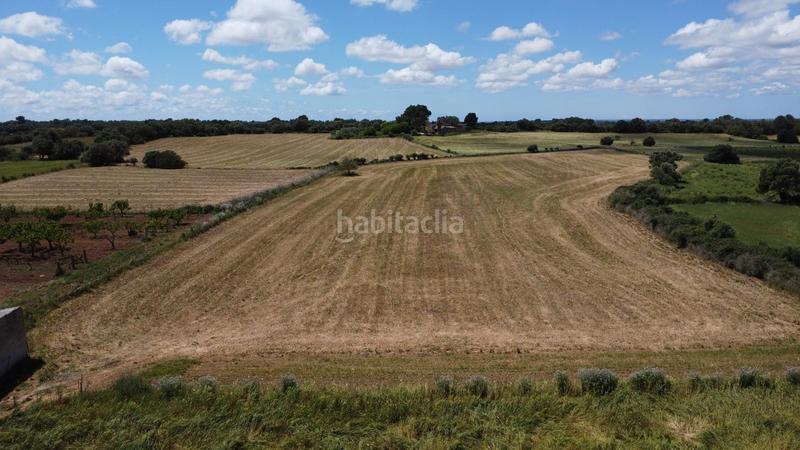 Foto e1ad24b0-ebd4-41d3-8192-74d51c2d2c8d. Propriété dans poligono 45 parcela 26 dans Felanitx poble Felanitx