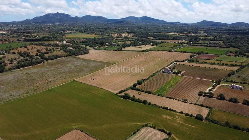 Foto 097b4754-aa03-40f6-899c-40f9c0c3688d. Rural plot in poligono 45 parcela 26 in Felanitx poble Felanitx