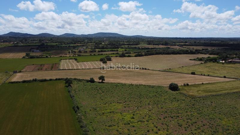 Foto 551bcc1a-8c94-4617-8c5f-58d590799db1. Rural plot in poligono 45 parcela 26 in Felanitx poble Felanitx