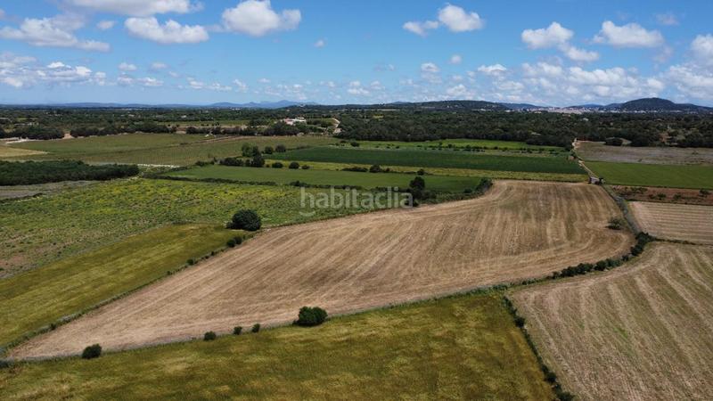 Foto 86e8942d-0d9c-4657-82db-7579031ddd6f. Rural plot in poligono 45 parcela 26 in Felanitx poble Felanitx